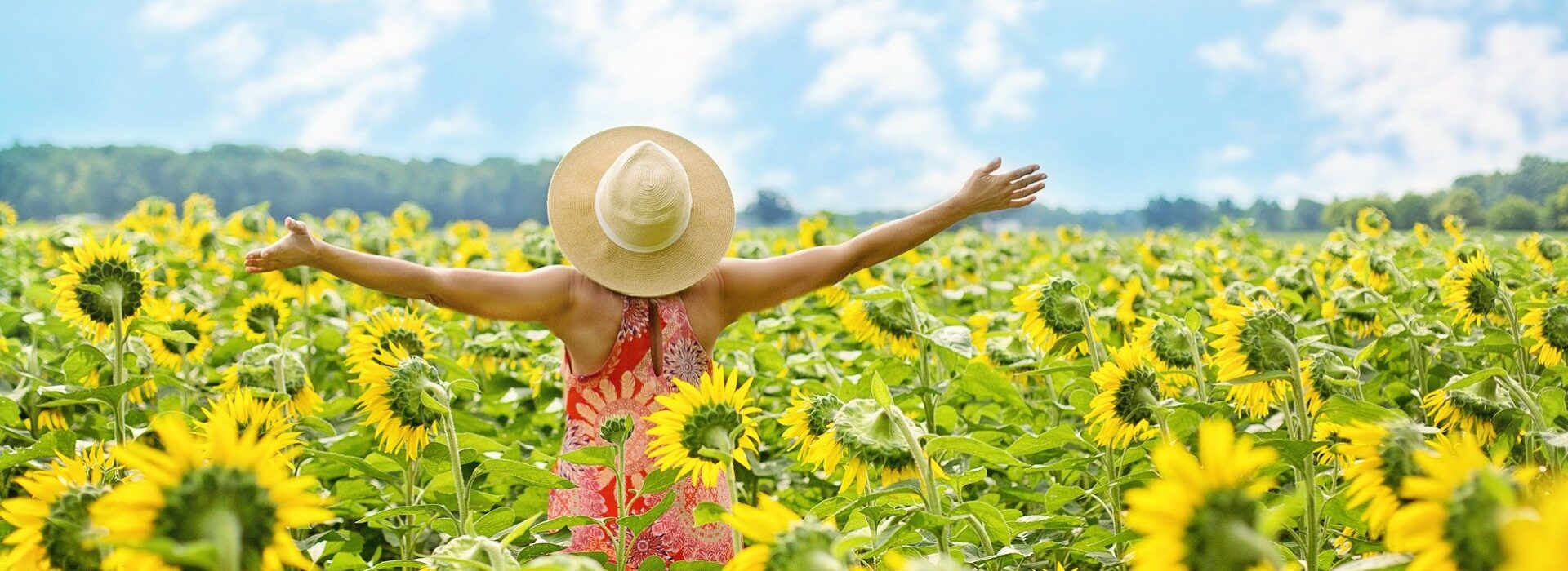 Walking, Happy, Self Love, Sunflowers