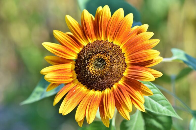 Counselling to strengthen the mind and soul